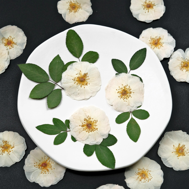 6pcs,9pcs,Nature White Rose Pr – Resin Craft Ideas recenzja i cena