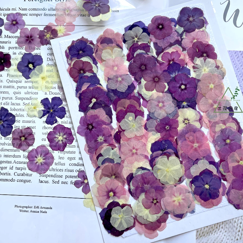 12pcs,Semi-Transparent Niche P – Resin Craft Ideas recenzja i cena