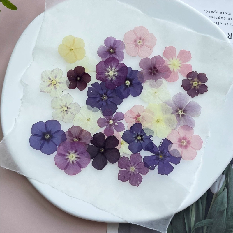 12pcs,Semi-Transparent Niche P – Resin Craft Ideas recenzja i cena