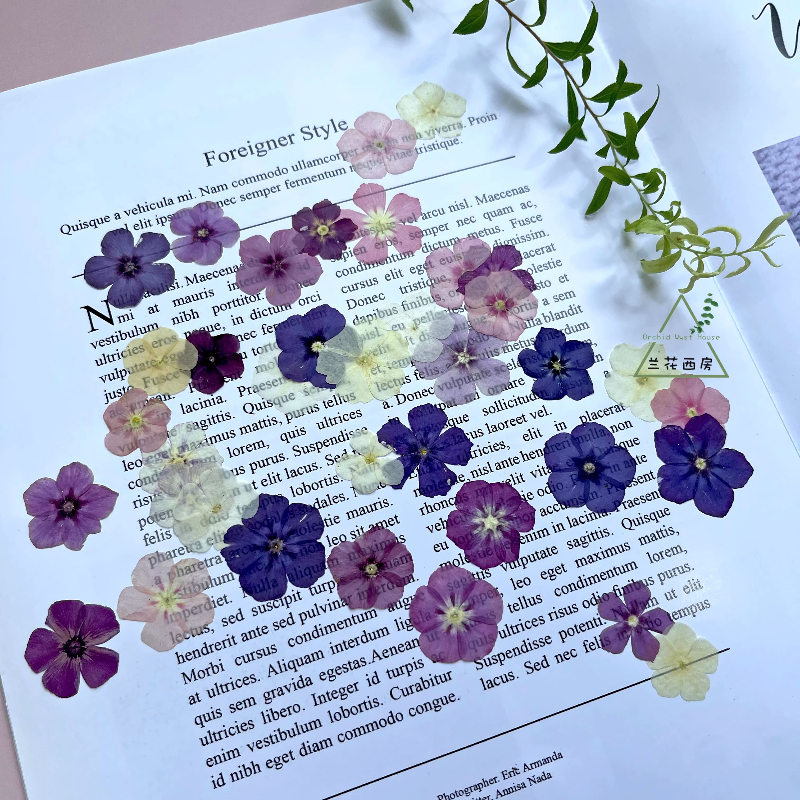 12pcs,Semi-Transparent Niche P – Resin Craft Ideas recenzja i cena