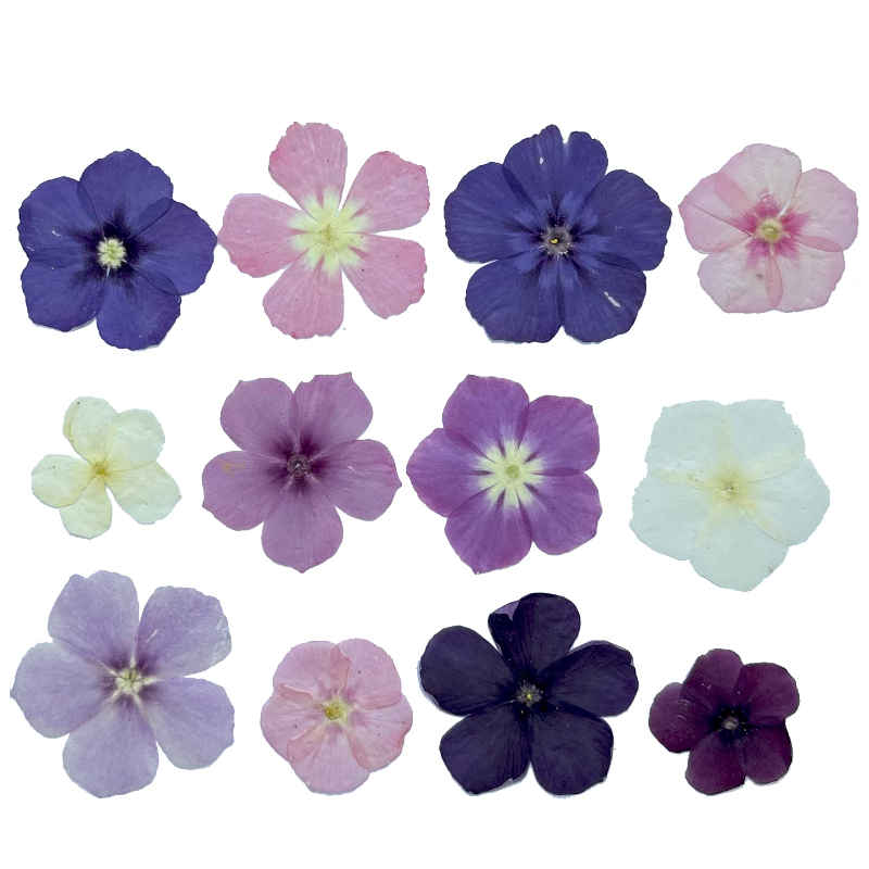 12pcs,Semi-Transparent Niche P – Resin Craft Ideas recenzja i cena